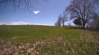 The field cam, May 3, 2024 at 11:51am