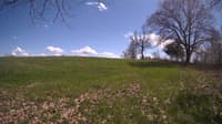 The field cam, May 3, 2024 at 12:47pm