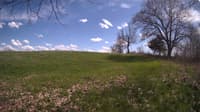 The field cam, May 3, 2024 at 1:16pm