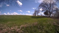 The field cam, May 3, 2024 at 1:20pm