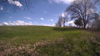The field cam, May 3, 2024 at 1:21pm