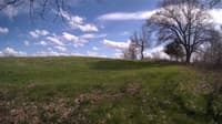 The field cam, May 3, 2024 at 2:08pm