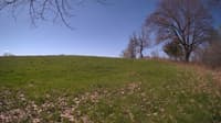 The field cam, May 5, 2024 at 8:15am