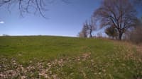The field cam, May 5, 2024 at 8:25am