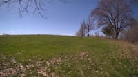 The field cam, May 5, 2024 at 8:27am