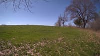 The field cam, May 5, 2024 at 8:27am