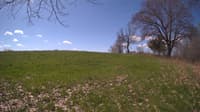 The field cam, May 5, 2024 at 8:50am