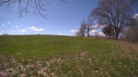 The field cam, May 5, 2024 at 8:55am