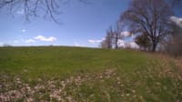 The field cam, May 5, 2024 at 8:56am