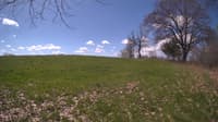 The field cam, May 5, 2024 at 9:01am