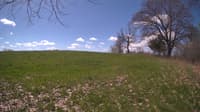 The field cam, May 5, 2024 at 9:02am