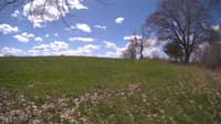 The field cam, May 5, 2024 at 9:31am