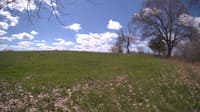 The field cam, May 5, 2024 at 9:42am