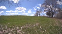The field cam, May 5, 2024 at 10:06am