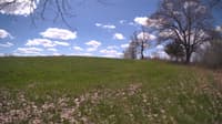 The field cam, May 5, 2024 at 10:10am