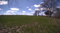 The field cam, May 5, 2024 at 10:11am