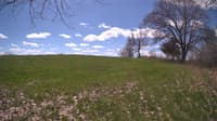 The field cam, May 5, 2024 at 10:16am