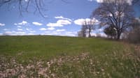 The field cam, May 5, 2024 at 10:18am