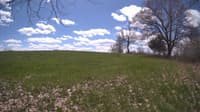 The field cam, May 5, 2024 at 10:38am