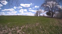 The field cam, May 5, 2024 at 10:44am
