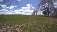 The field cam, May 5, 2024 at 10:51am