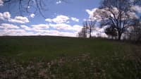 The field cam, May 5, 2024 at 10:53am