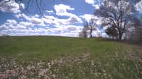 The field cam, May 5, 2024 at 11:30am