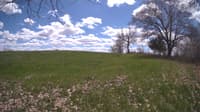 The field cam, May 5, 2024 at 11:36am