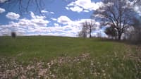 The field cam, May 5, 2024 at 11:39am