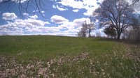 The field cam, May 5, 2024 at 11:41am