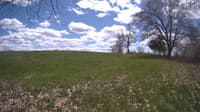 The field cam, May 5, 2024 at 11:41am