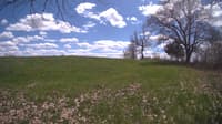 The field cam, May 5, 2024 at 12:05pm