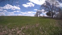 The field cam, May 5, 2024 at 12:08pm