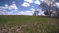 The field cam, May 5, 2024 at 12:10pm