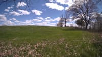 The field cam, May 5, 2024 at 12:26pm