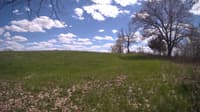 The field cam, May 5, 2024 at 12:31pm