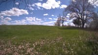 The field cam, May 5, 2024 at 12:33pm