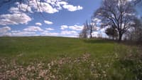 The field cam, May 5, 2024 at 12:40pm