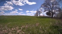 The field cam, May 5, 2024 at 12:40pm