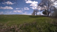 The field cam, May 5, 2024 at 1:31pm