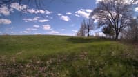 The field cam, May 5, 2024 at 1:43pm