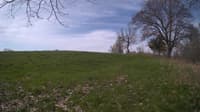 The field cam, May 6, 2024 at 7:31am