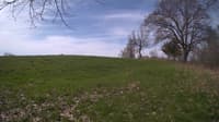 The field cam, May 6, 2024 at 7:47am