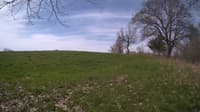 The field cam, May 6, 2024 at 7:51am