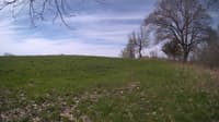 The field cam, May 6, 2024 at 7:56am
