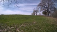 The field cam, May 6, 2024 at 7:57am