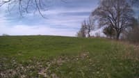 The field cam, May 6, 2024 at 7:58am