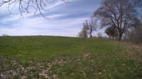 The field cam, May 6, 2024 at 8:13am