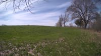The field cam, May 6, 2024 at 8:17am