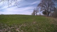The field cam, May 6, 2024 at 8:18am